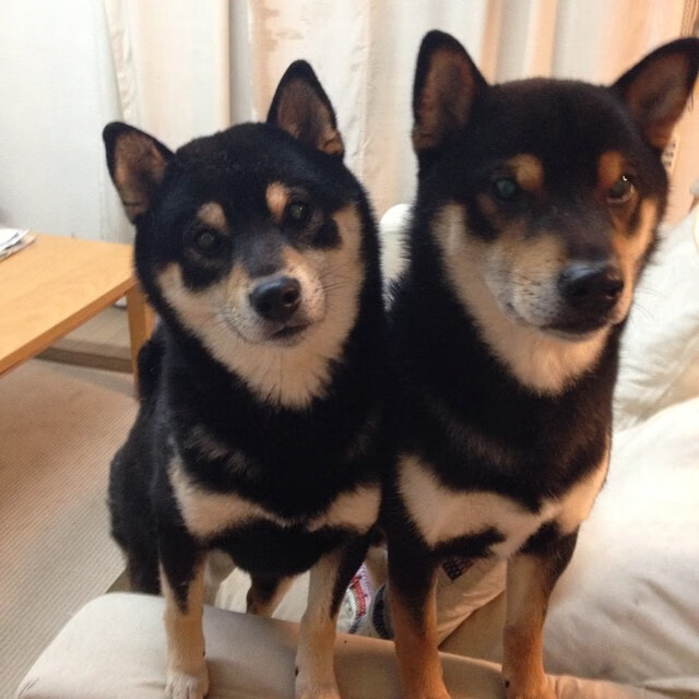 爱游戏体育官方网站-大数据助力科学训练和战术分析，大数据练手项目