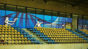 爱游戏娱乐网址-新加坡队未来计划：建立更完善的青少年乒乓培养体系，新加坡乒乓球运动