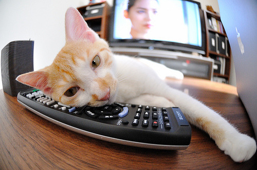 比赛转播技术不断优化升级,赛事转播场景主要运用到云导播什么能力