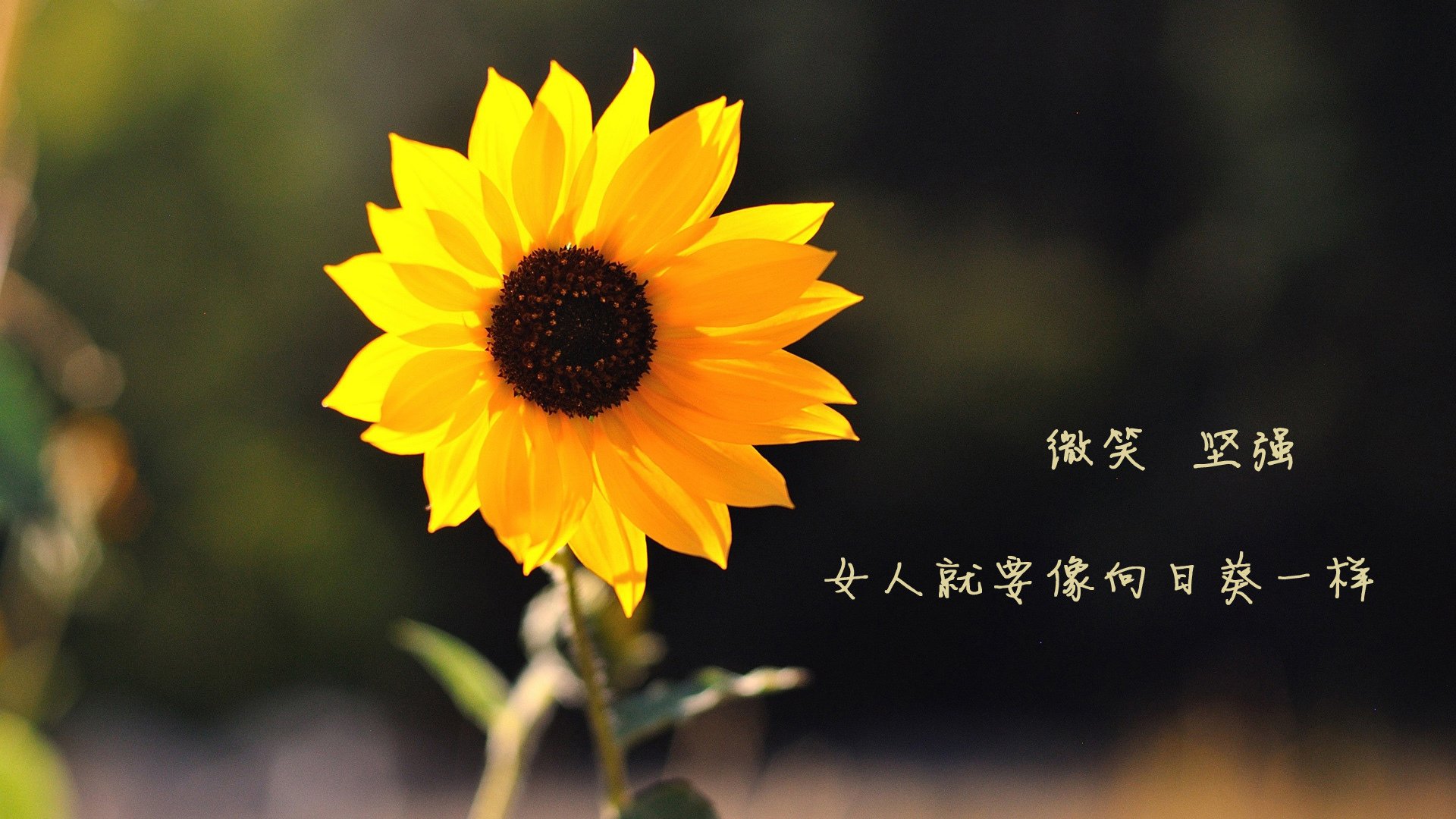 AYX GAMING-球员心理辅导资源缺乏专业人才