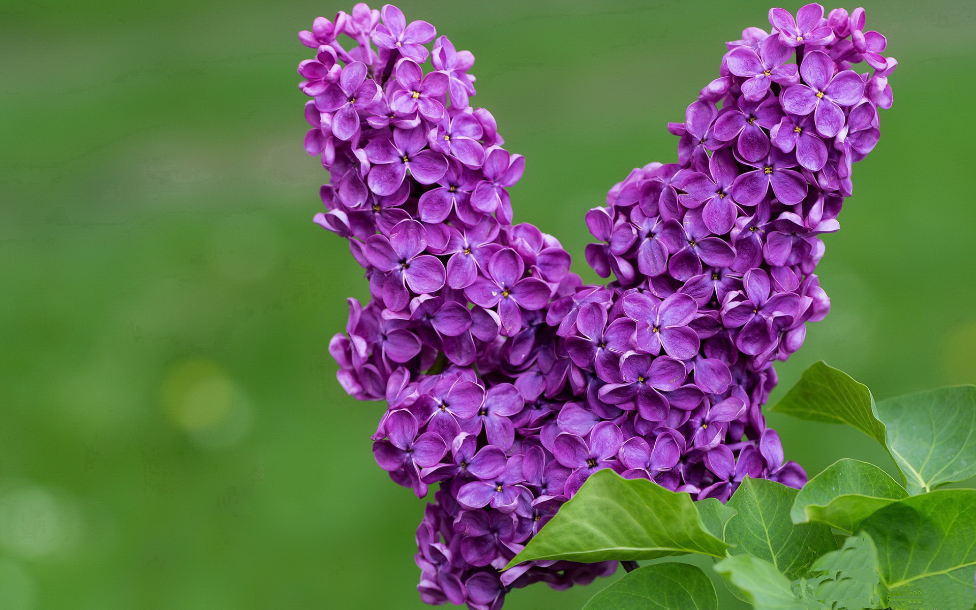 爱游戏娱乐平台-职业联赛内部调度权责划分模糊