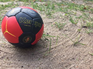 爱游戏体育APP下载-中国篮球推动青少年比赛规则标准统一促进公平竞争，篮球青少年联赛