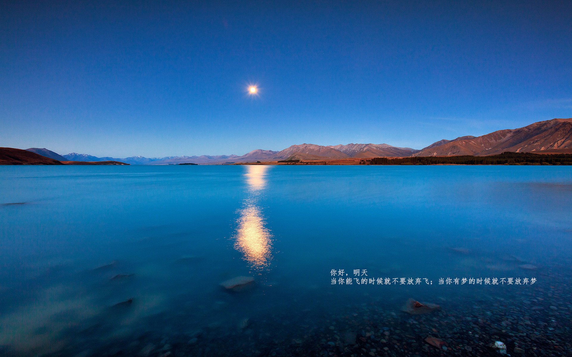 体育新闻中心发布赛事直播延迟与版权解释通告,体育比赛直播预告