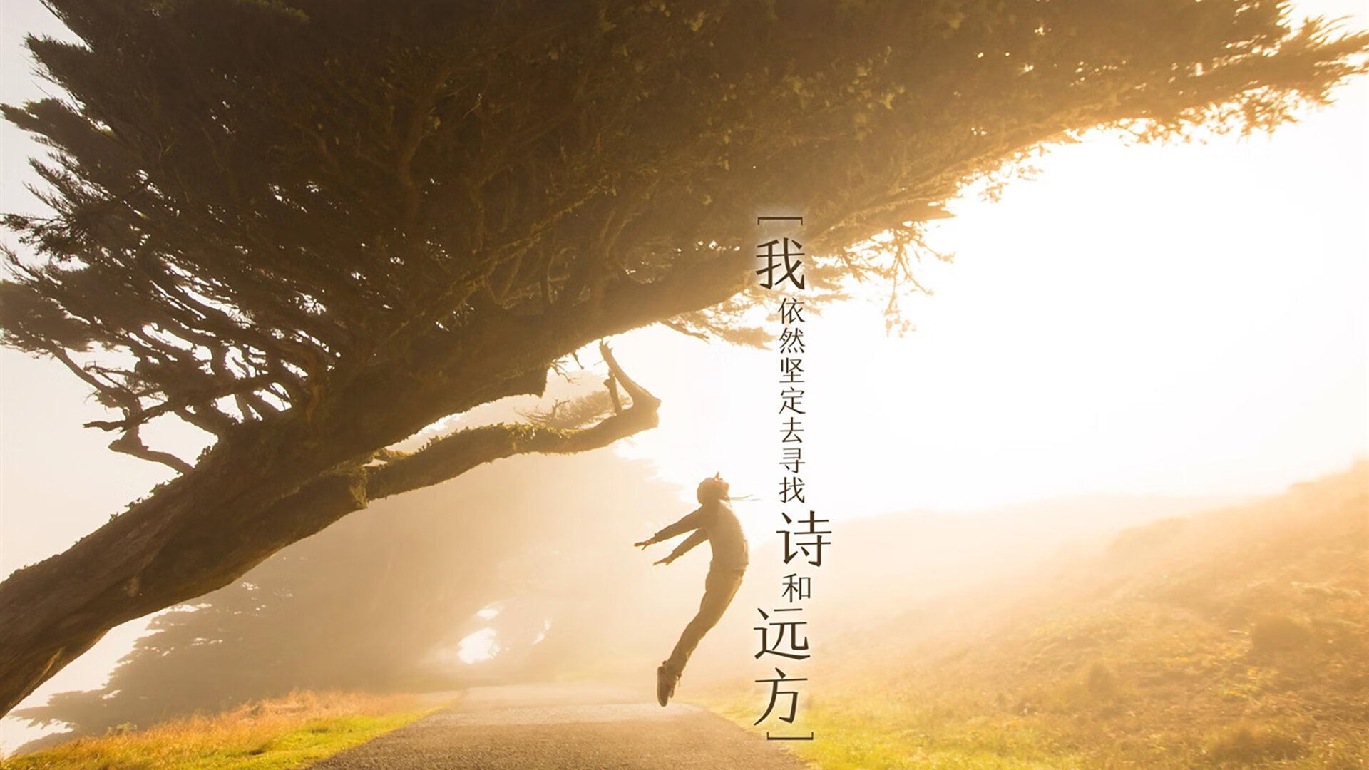 出发反应速度稳定,起跳精准,起跑反应时间怎么计算