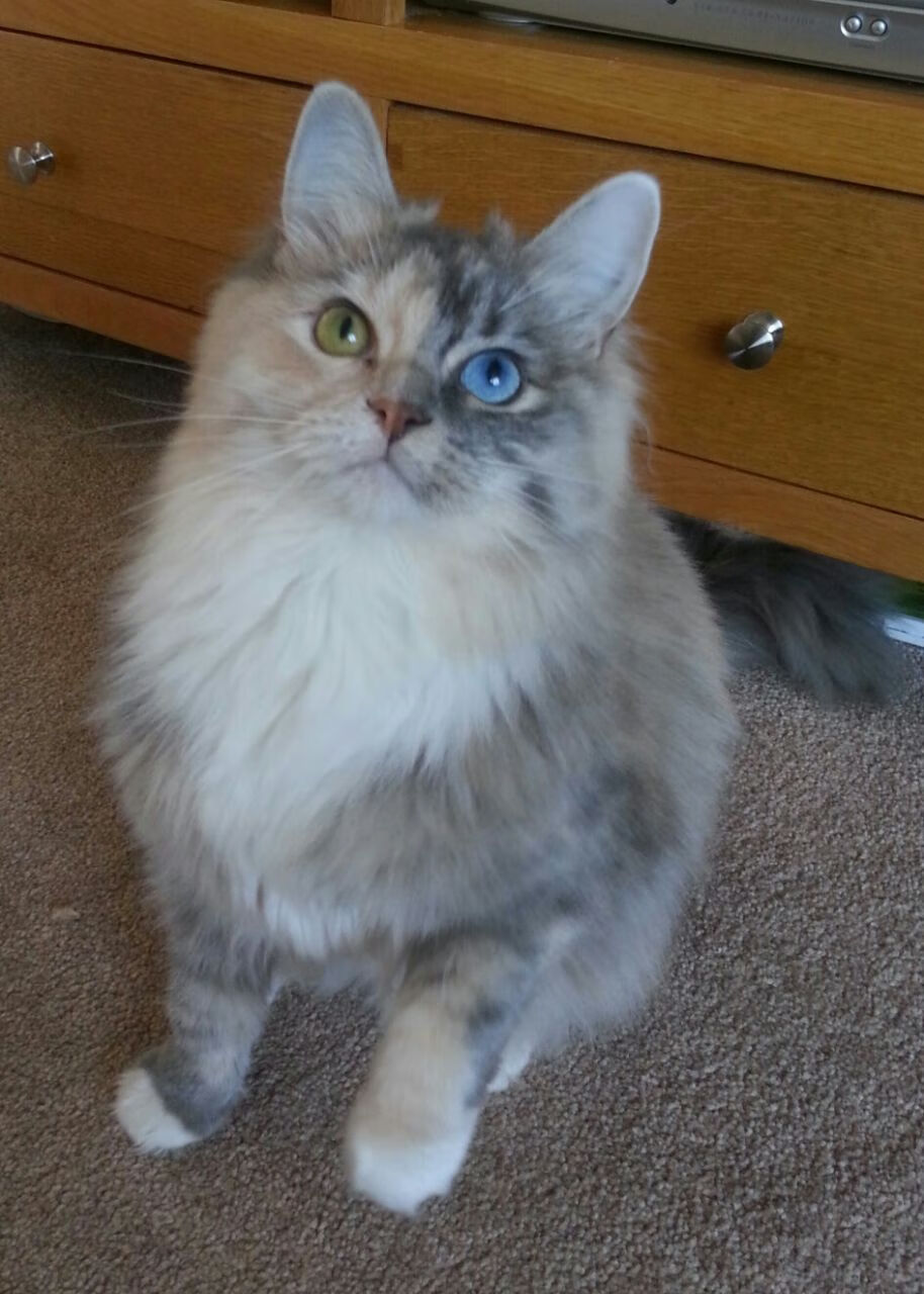 地方篮球发展研讨会召开探讨联赛结构改革与青训机制升级,篮球联赛简介