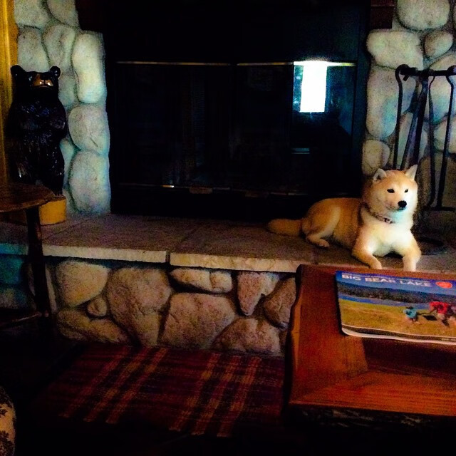 女篮国家队增加个人技术专项训练提升关键能力,女篮新手团队训练方法