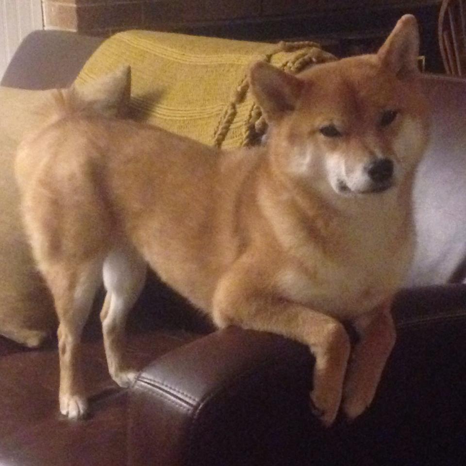 球队引进营养顾问针对个人情况制定科学饮食方案