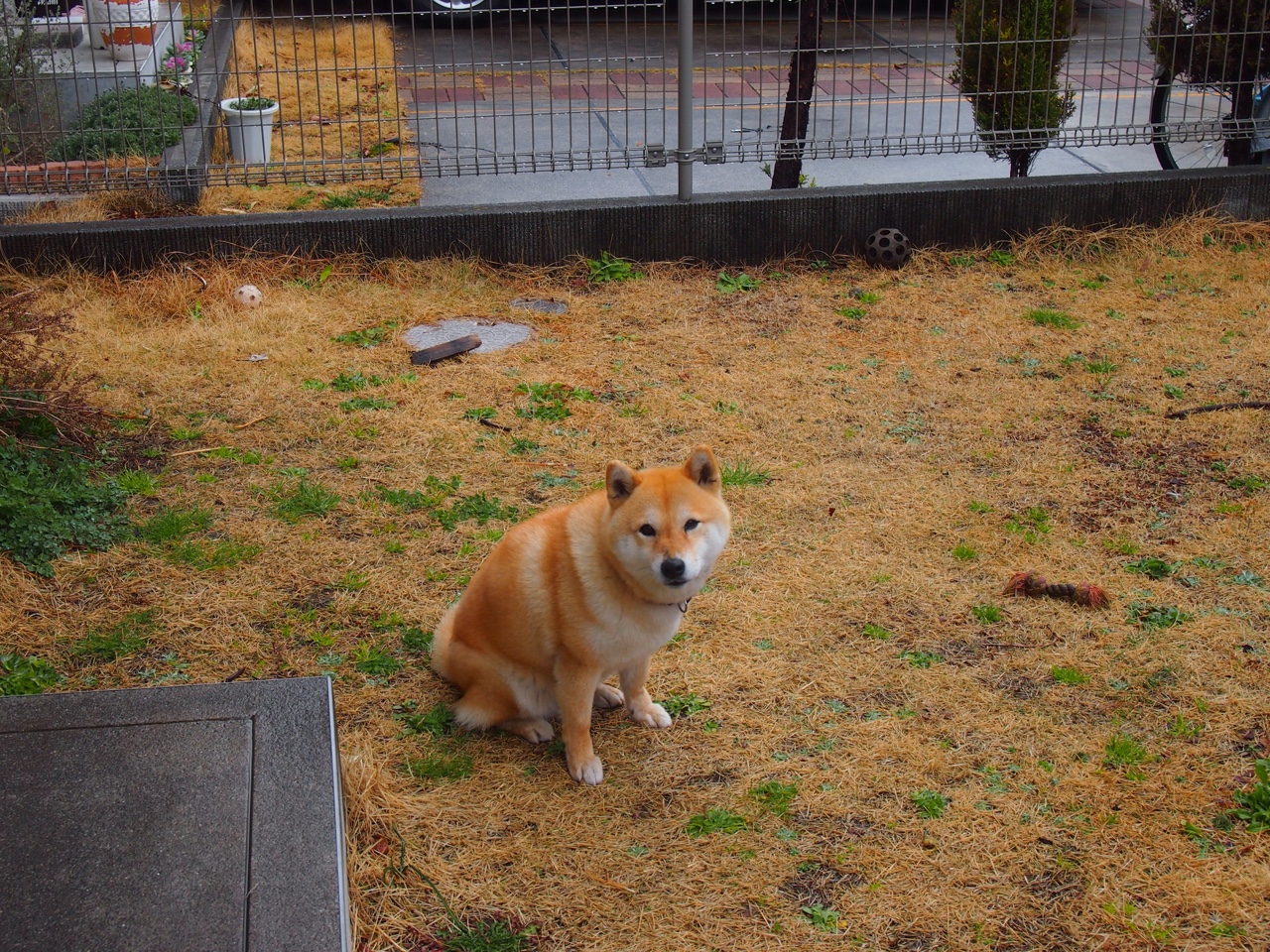 皇马青训持续产出新星,球队未来值得期待