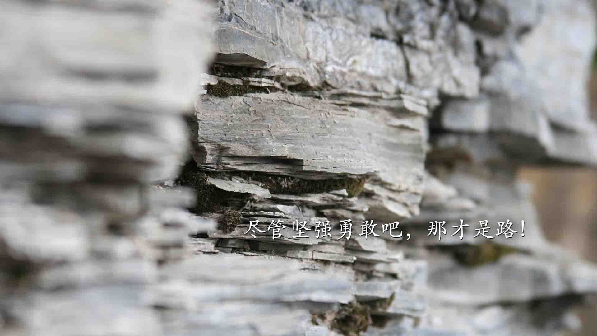 9月24日欧联球迷最关注的弗赖堡VS巴塞尔，弗赖堡对拜仁